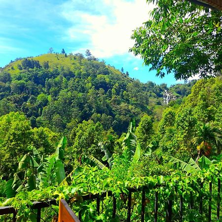 Ever Green Mount Ella Luaran gambar