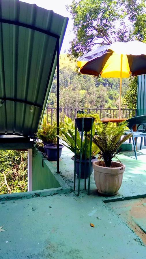 Ever Green Mount Ella Luaran gambar