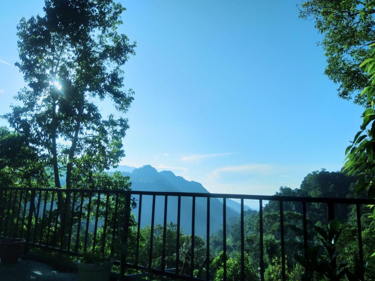 Ever Green Mount Ella Luaran gambar