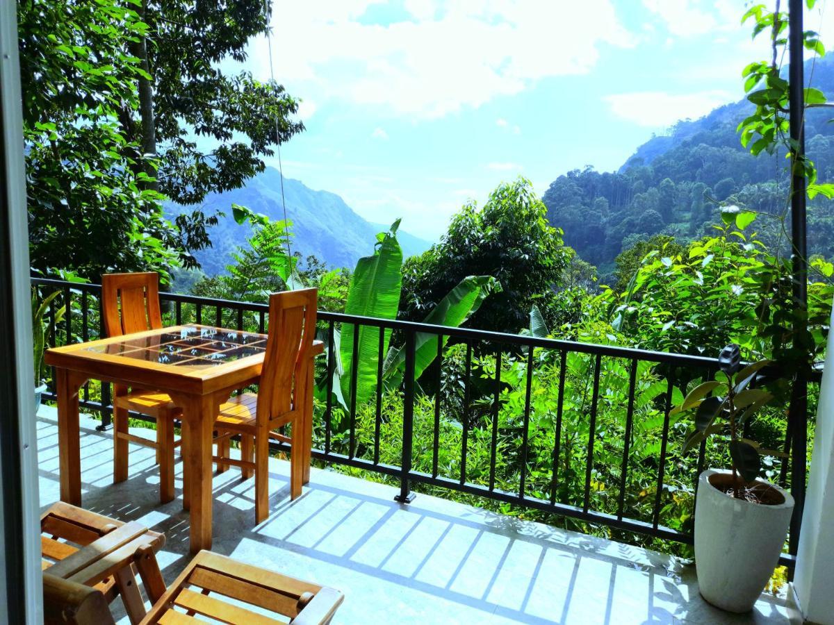 Ever Green Mount Ella Luaran gambar