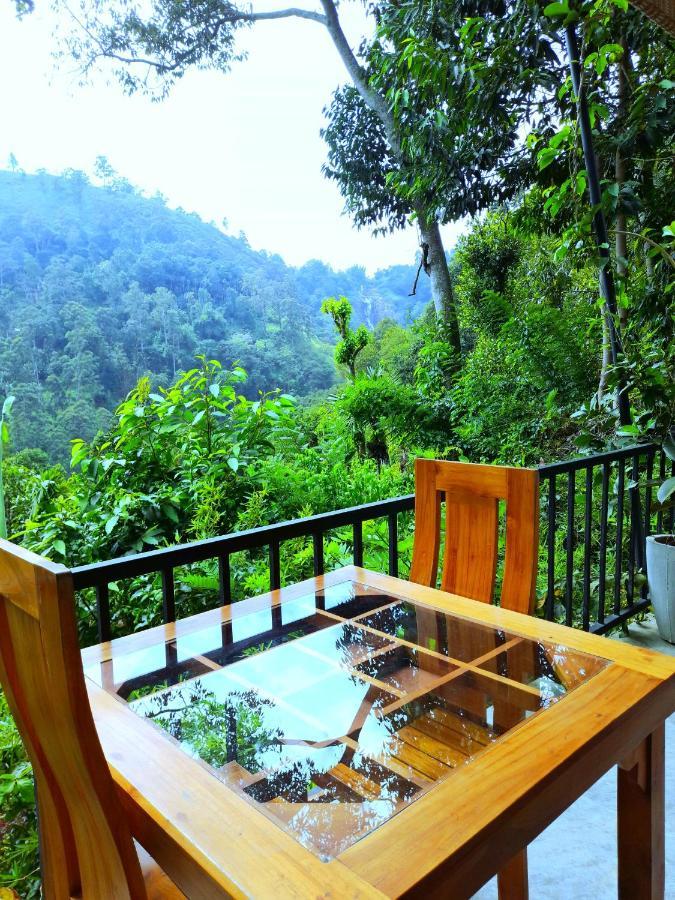 Ever Green Mount Ella Luaran gambar