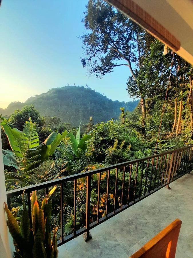 Ever Green Mount Ella Luaran gambar