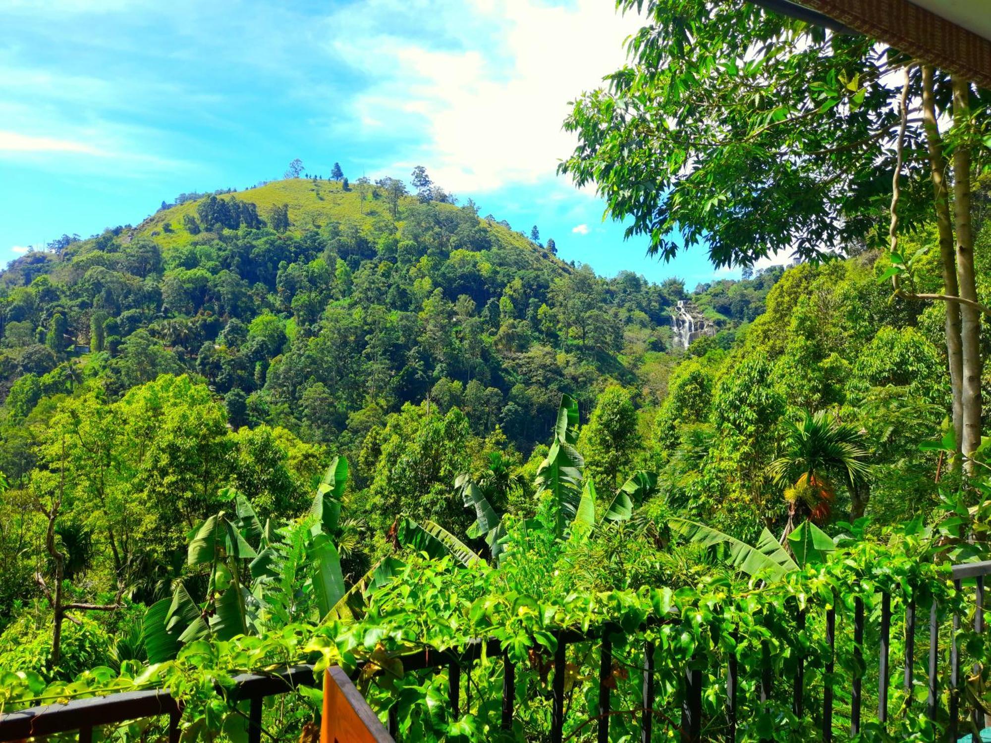 Ever Green Mount Ella Luaran gambar