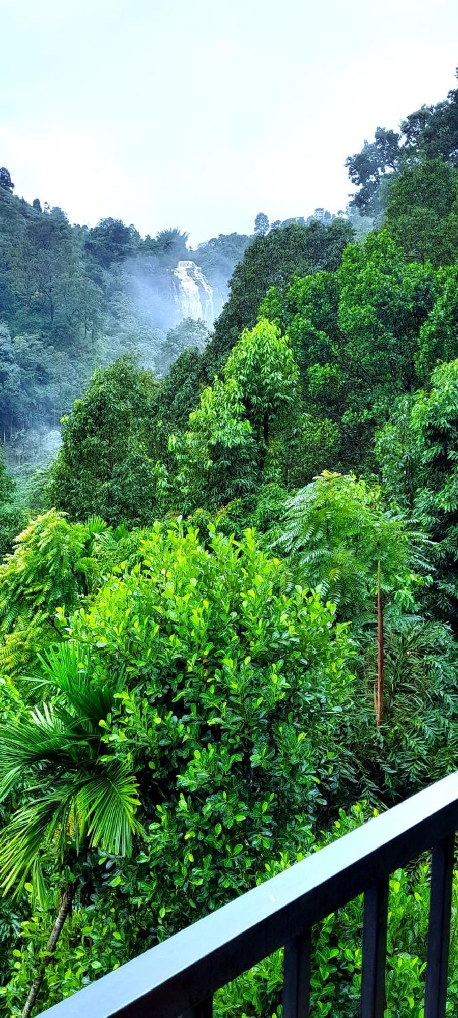 Ever Green Mount Ella Luaran gambar