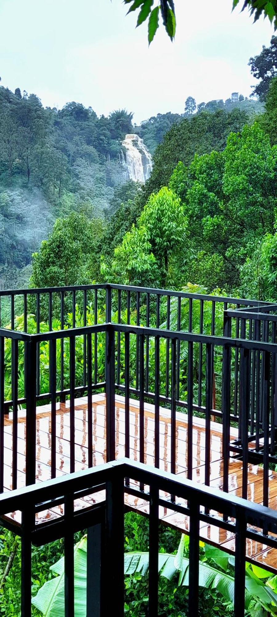 Ever Green Mount Ella Luaran gambar