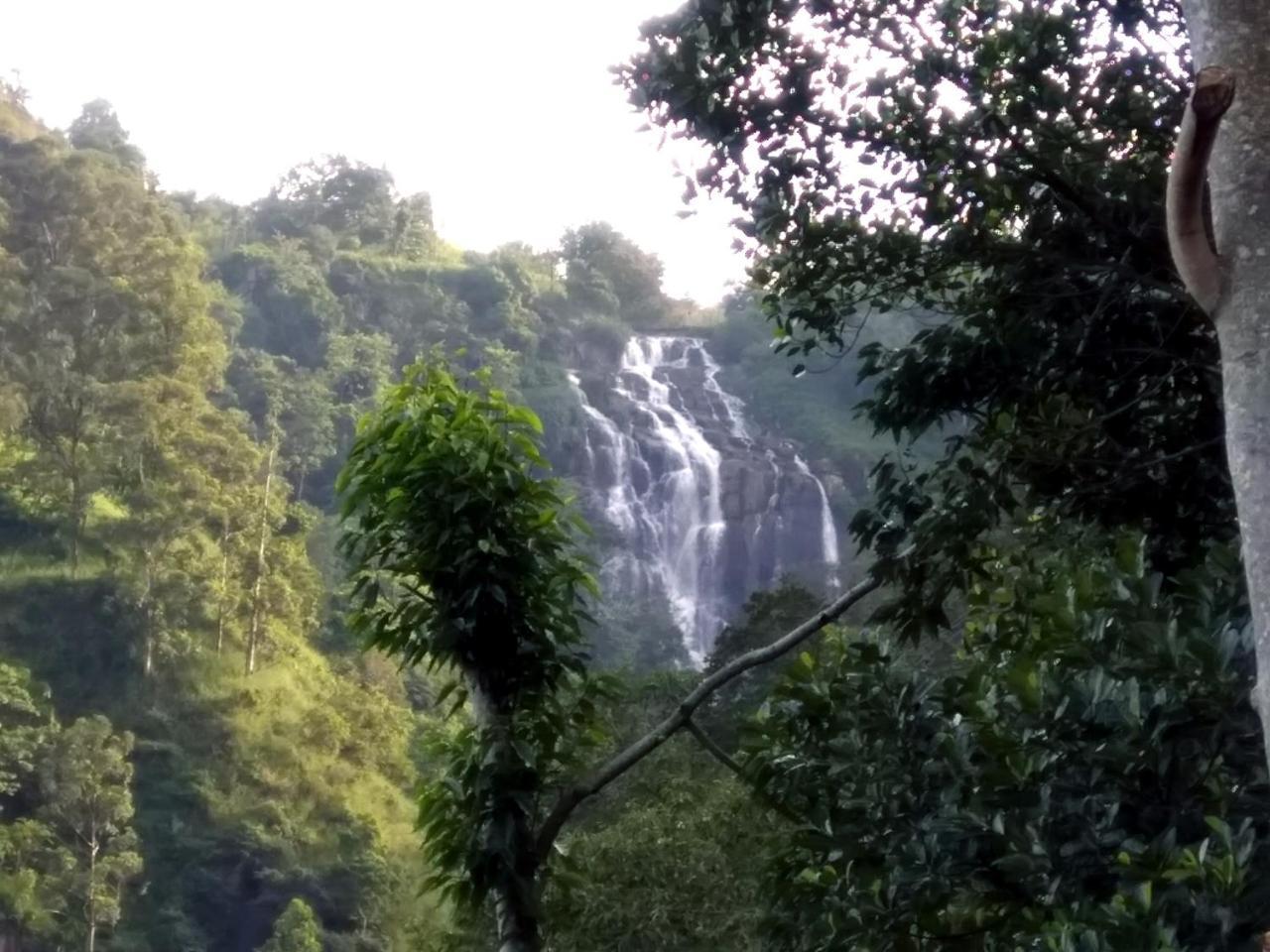 Ever Green Mount Ella Luaran gambar
