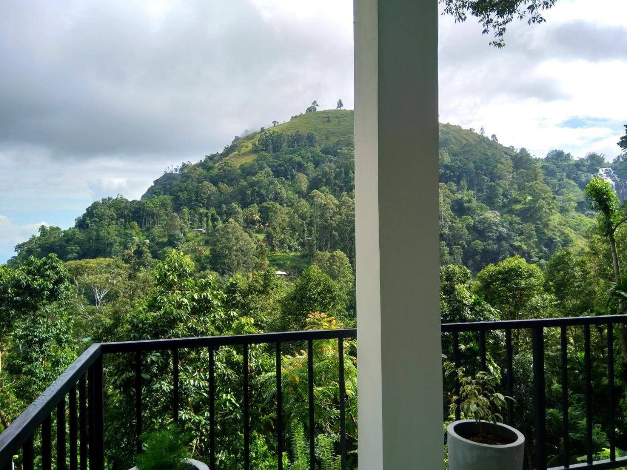 Ever Green Mount Ella Luaran gambar