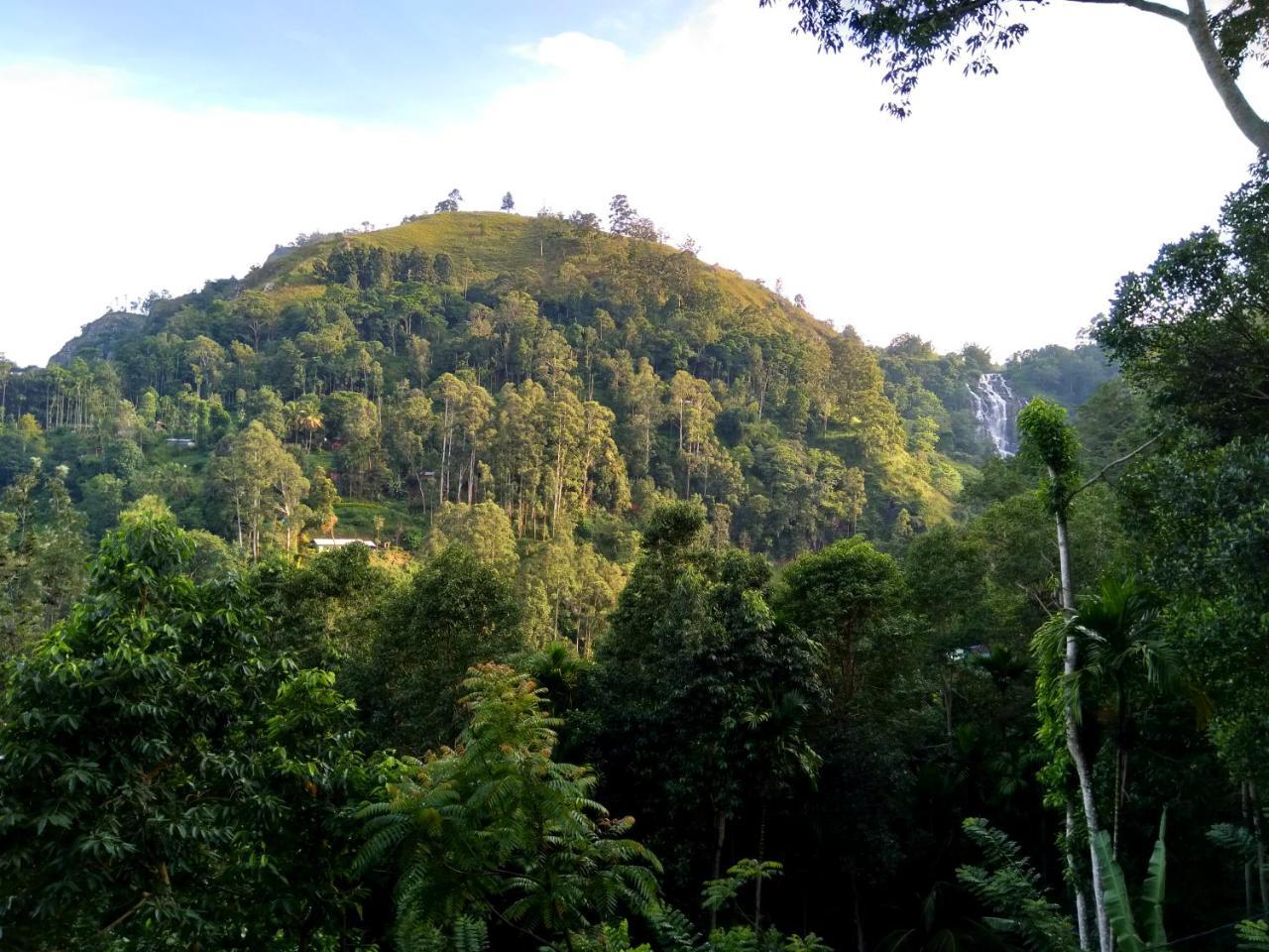 Ever Green Mount Ella Luaran gambar