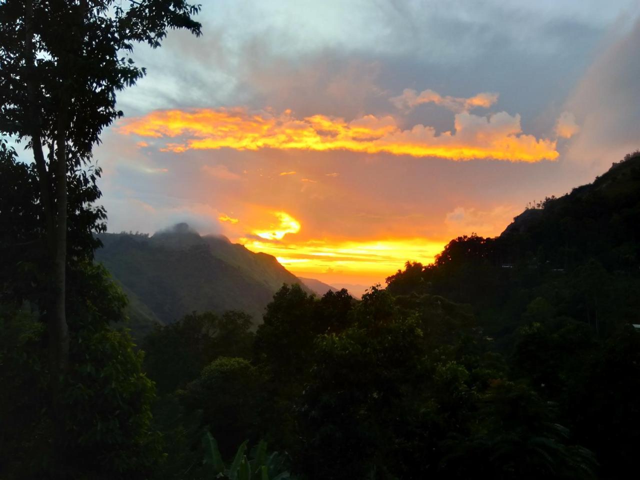 Ever Green Mount Ella Luaran gambar
