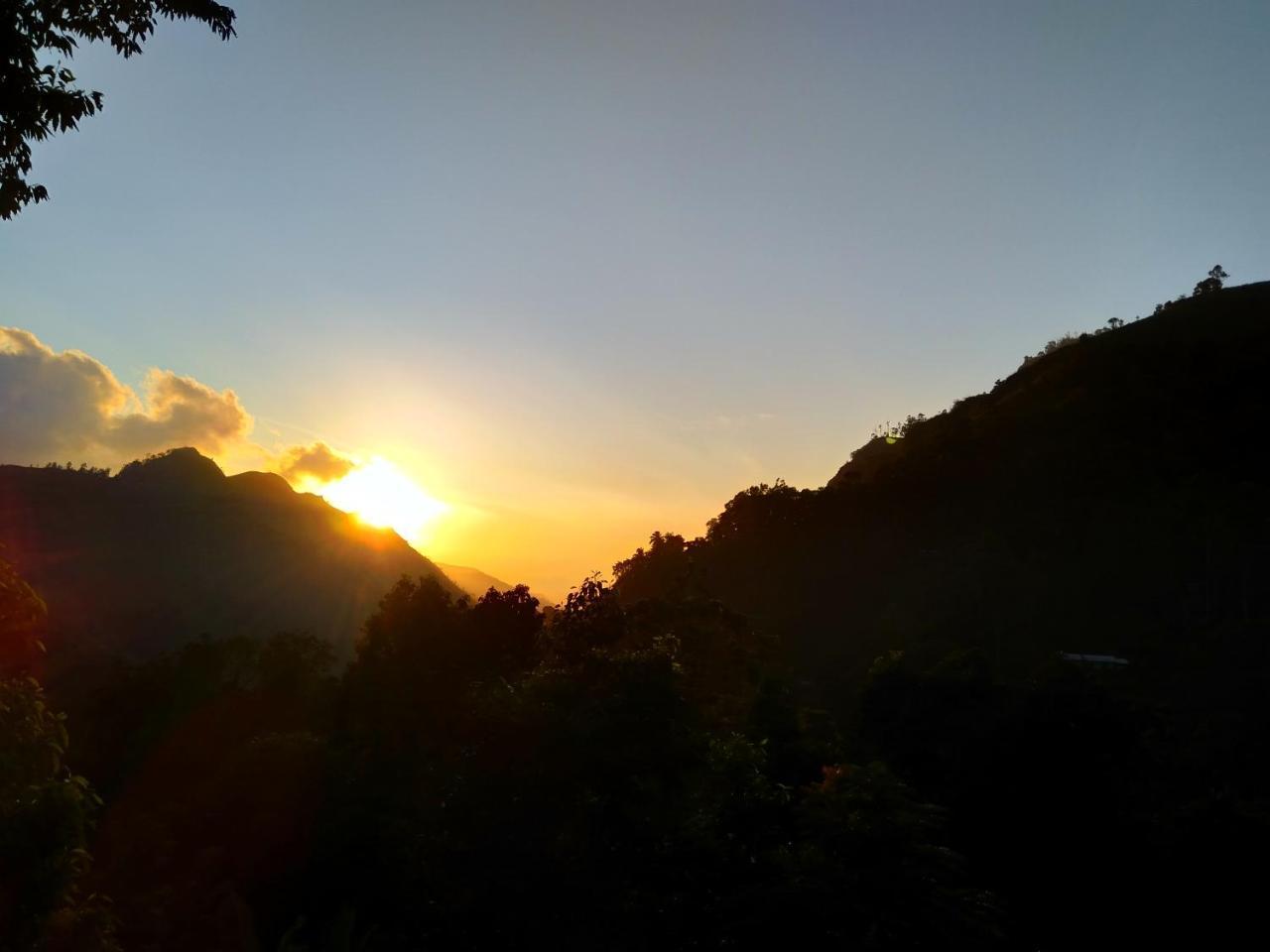 Ever Green Mount Ella Luaran gambar