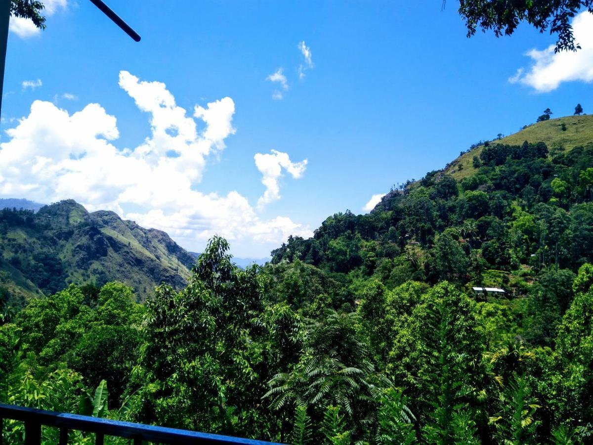 Ever Green Mount Ella Luaran gambar
