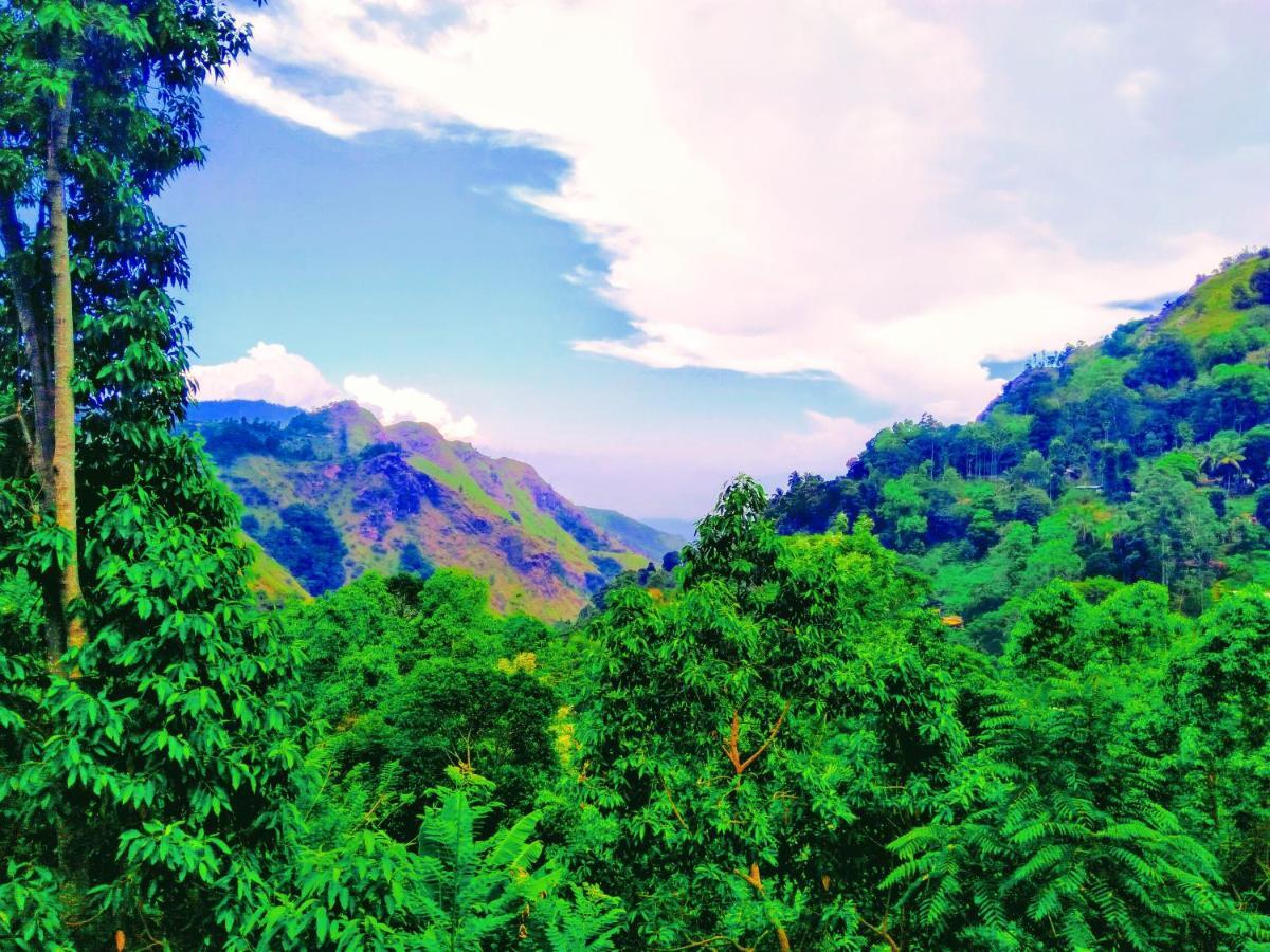 Ever Green Mount Ella Luaran gambar