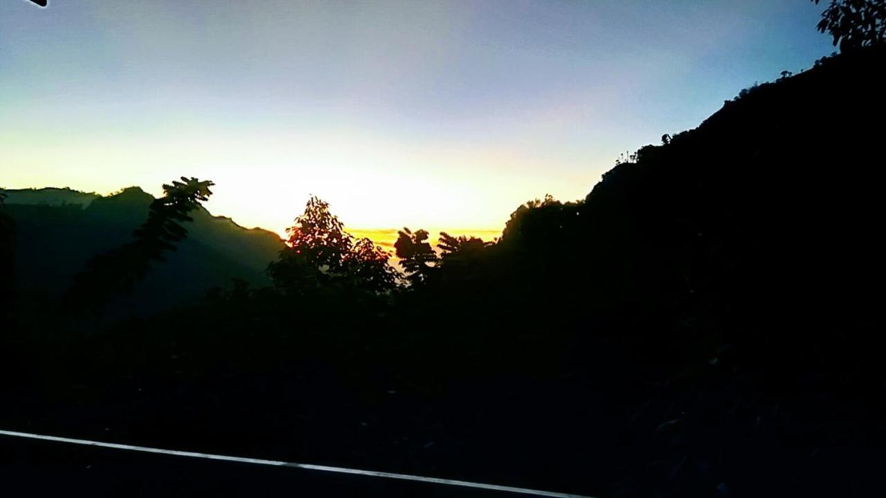 Ever Green Mount Ella Luaran gambar